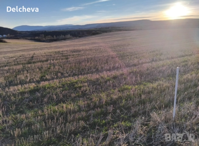 Земеделска земя област Перник, град Батановци 4451кв.м, снимка 5 - Земеделска земя - 52595651