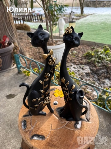 Котки 2 броя комплект