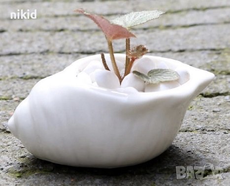 3D рапан раковина кашпа силиконов молд форма калъп гопс декор саксия, снимка 2 - Форми - 40063499