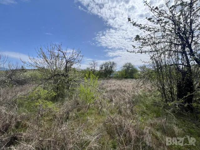 1.3 дк Двор / Парцел в Казанлък за Строеж на Къща. Дворно Място Вилна Зона "Старите Лозя" и Тюлбето, снимка 3 - Парцели - 38508593