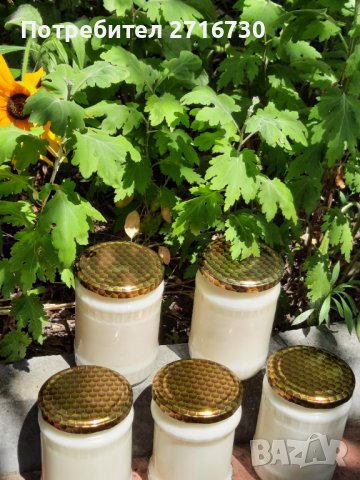 Свинска мас от домашно отглеждани прасета, снимка 2 - Домашни продукти - 38299640