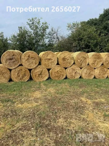 Бали ливадно сено област Враца размери 150/120