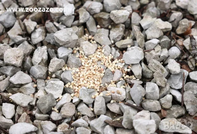 Репелентни гранули срещу кучета и котки, опаковка 2 х 200 гр. - KERBL - Модел: 80106, снимка 3 - Други стоки за животни - 49386399