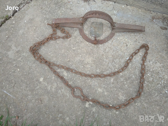 голям стар вълчи капан, снимка 4 - Антикварни и старинни предмети - 54269360