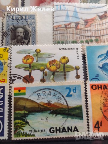 Пощенски марки ЦВЕТЯ,СГРАДИ, ЛИЧНОСТИ смесени от цял свят за КОЛЕКЦИЯ 22660, снимка 12 - Филателия - 40316501