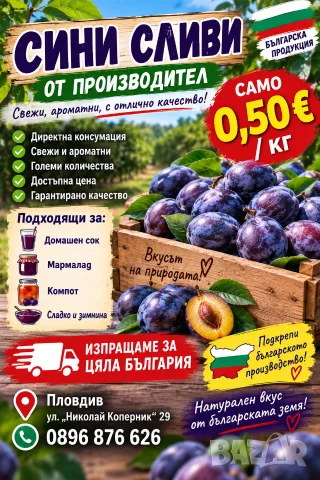 Продаваме Сини Сливи от Производител