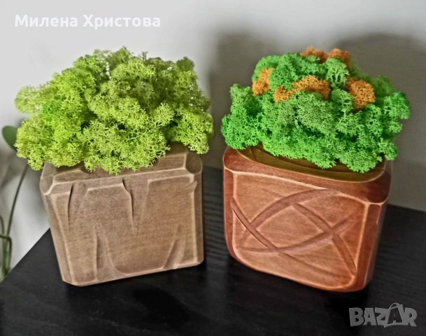 Кашпи от масивно дърво и скандинавски мъх , снимка 1