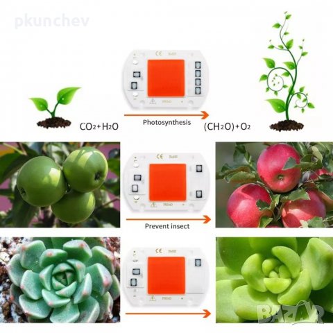 Плочка 20W, 30W LED COB GROWLIGHT за отглеждане на растения , снимка 9 - Друга електроника - 38094821