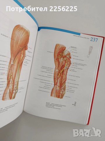 Атлас по човешка анатомия ( том-1) Глава,врат,горен крайник, снимка 5 - Енциклопедии, справочници - 52470968