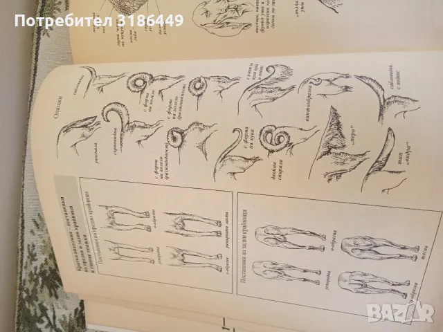 Световна енциклопедия на кучетата, снимка 4 - Енциклопедии, справочници - 48075574