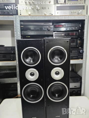 🎶 Продавам зверски тонколони AEG LB 4704 – 180 лв. 🔥, снимка 3 - Тонколони - 50763135
