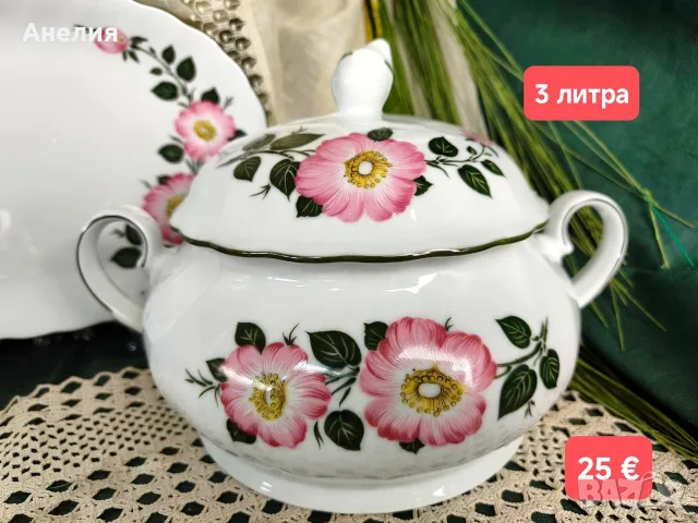 Winterling Bavaria дива роза за хранене , снимка 6 - Чинии - 55711779