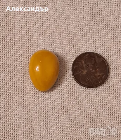 Кехлибар немски 