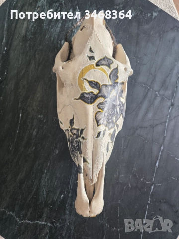 Конски череп за декорация - ръчно рисуван