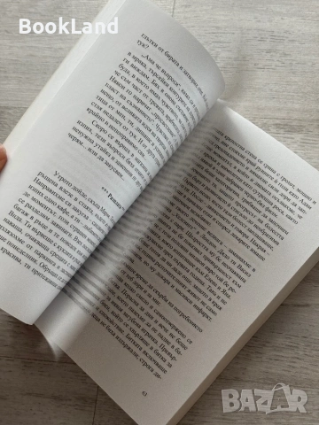 Отлъчване – Николай Терзийски , снимка 12 - Художествена литература - 53295922