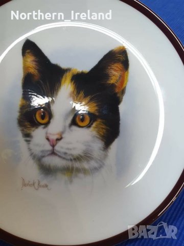 Колекционерски чинии за стена с котки , снимка 8 - Декорация за дома - 39749553