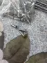 Главини Shimano HB -M4050 (пр.+задна), снимка 10