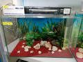 Нов аквариум за рибки, снимка 1 - Аквариуми - 44922920