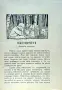 Пастирчето. Приказки отъ цялъ святъ /1924/, снимка 2