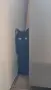 Подарявам котка, снимка 1