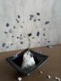 Дръвчета от естествени камъни.Добрият подарък носещ избрана енергия за Вас и другите., снимка 16