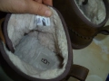 UGG оригинални боти №42, снимка 8