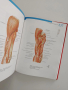 Атлас по човешка анатомия ( том-1) Глава,врат,горен крайник, снимка 5