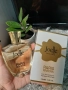 Paris Riviera Joelle 100ml EDT Women Jadore , снимка 1