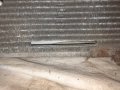 Воден и климатичен радиатор с перките от КИА Карнавал 2000г 2.9 дизел, снимка 8