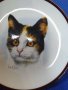 Колекционерски чинии за стена с котки , снимка 8