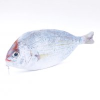 Калъф във формата на риба за рибарски принадлежности / моливник Несесер, снимка 2 - Морски сувенири - 32126081