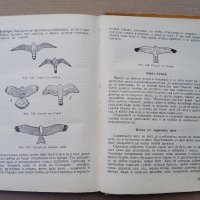 Книга за ловеца,1958г,3060бр. тираж, снимка 11 - Антикварни и старинни предмети - 35590790