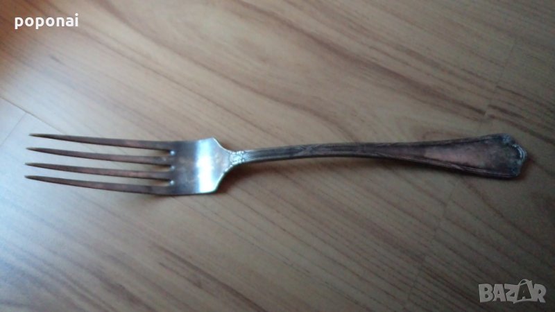 Голяма стара вилица, снимка 1