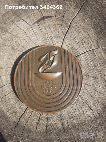 Настолен медал плакет БСФС, снимка 1