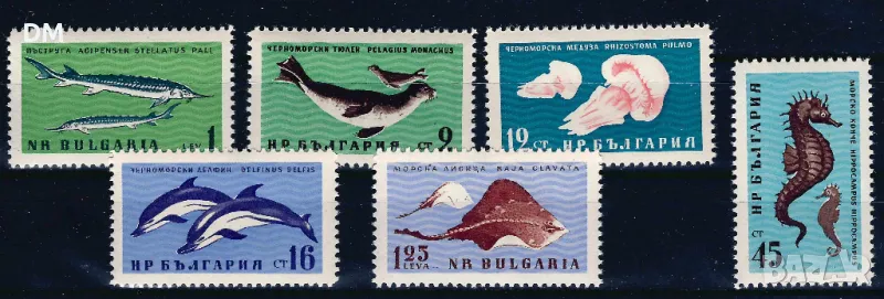 България 1961 - морска фауна MNH, снимка 1