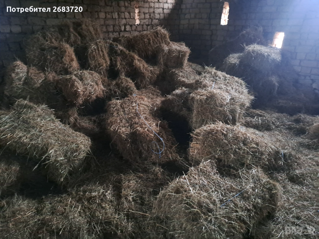 Бали  сено 5 лв бр. , снимка 1