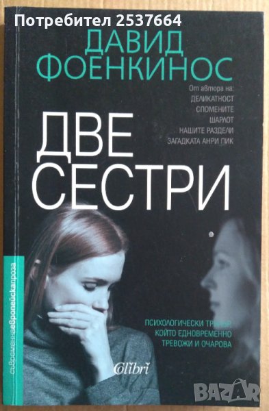 Две сестри  Давид Фоенкинос, снимка 1
