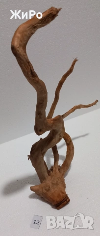 Корен от Азалия /декорация/ 12, снимка 3 - Други - 49875079