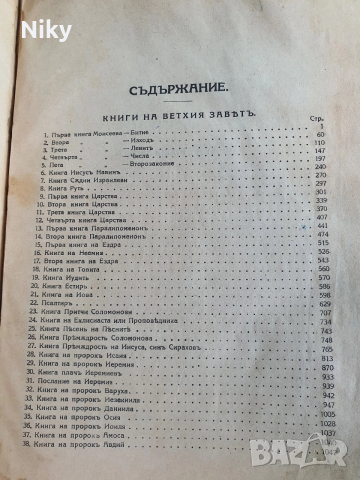 Библия-Семейна Литопис 1925г. , снимка 8 - Антикварни и старинни предмети - 52721150