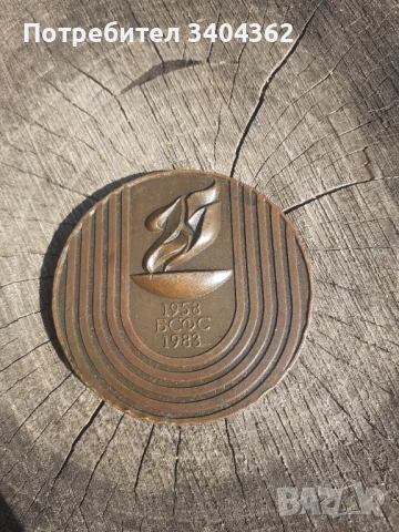 Настолен медал плакет БСФС, снимка 1