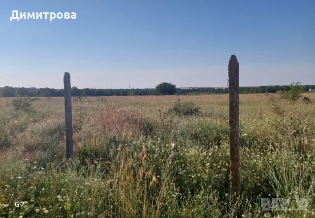 Земеделска земя 10 дка, снимка 5 - Земеделска земя - 55810140