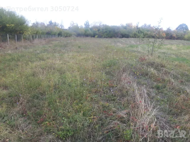 Голям парцел в 7855 Бракница, снимка 2 - Парцели - 56503924