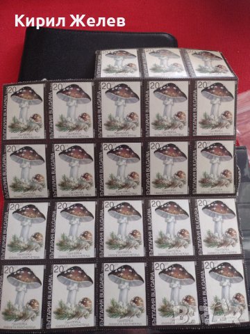 Лот Пощенски марки ГЪБИ ПАНТЕРКА чисти без печат поща България редки за КОЛЕКЦИЯ 33114, снимка 7 - Филателия - 40477206