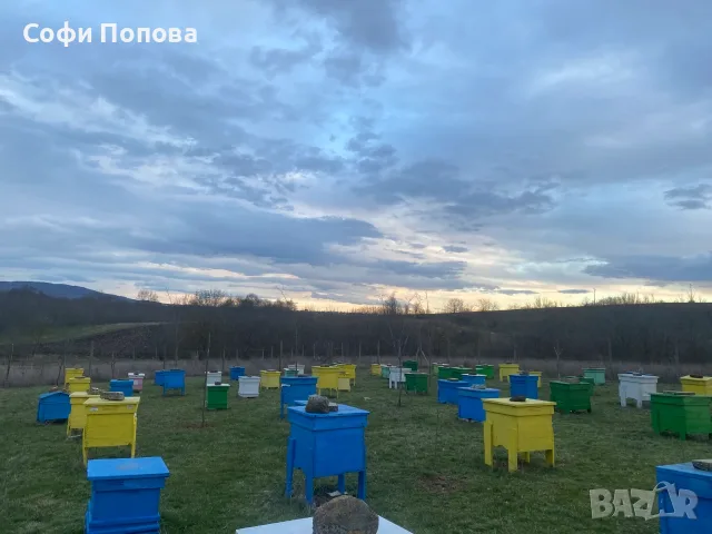 Пчеелни кошери ДБ , снимка 2 - За пчели - 56528847