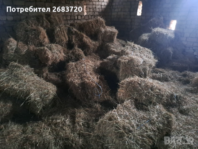 Бали  сено 5 лв бр. 