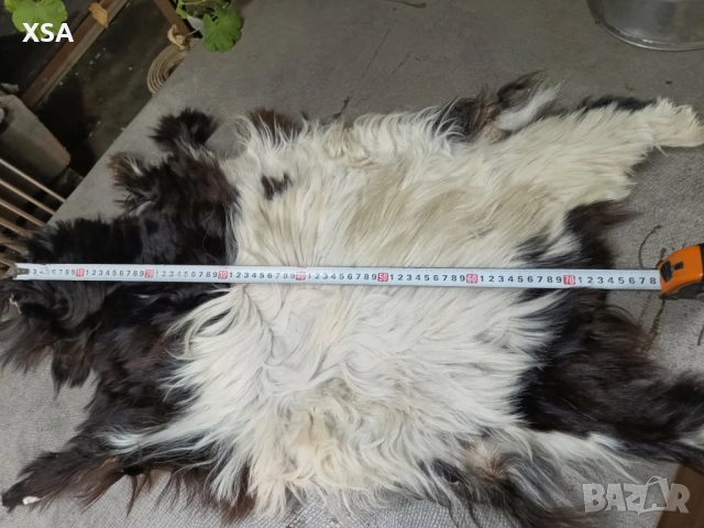 Естествени кожи от коза, снимка 9 - Други ценни предмети - 52265860