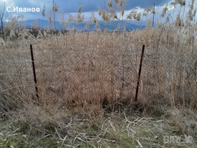 ‼️ЗЕМЕДЕЛСКА ЗЕМЯ‼️ -КЮСТЕНДИЛ‼️ 2дк, снимка 2 - Земеделска земя - 48894350