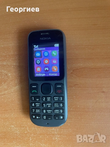 Nokia 100