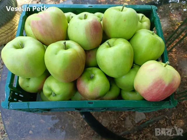 Продавам ябълки...