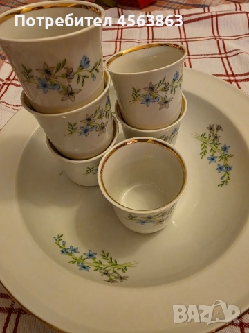 Порцеланов сервиз за ракия и салата, снимка 2 - Сервизи - 51470350